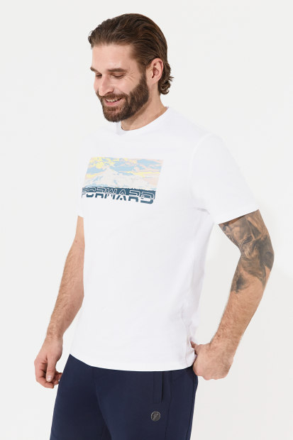 Футболка короткий рукав мужская