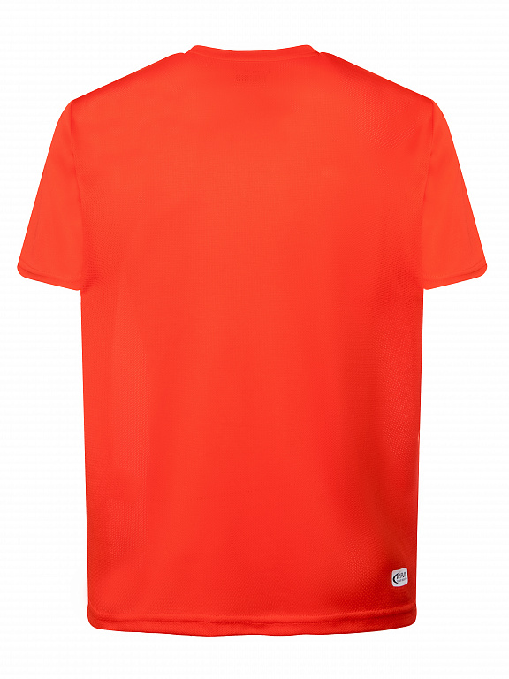 M07110T-RW232 Футболка короткий рукав мужская (оранжевый/белый) фото 2
