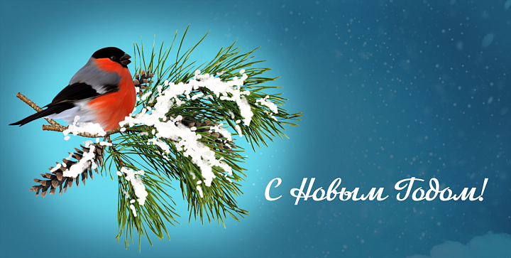 FORWARD поздравляет Вас с Новым Годом! FORWARD поздравляет Вас с Новым Годом!