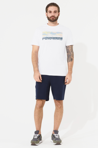 Футболка короткий рукав мужская